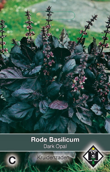 Basilicum Dark Opal (Ocimum basilicum) 600 zaden HE